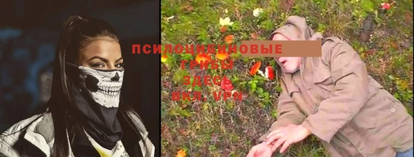 кристаллы Медногорск