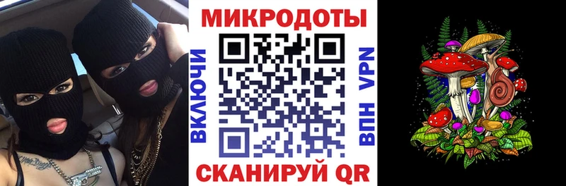 Галлюциногенные грибы Psilocybe  Грозный 