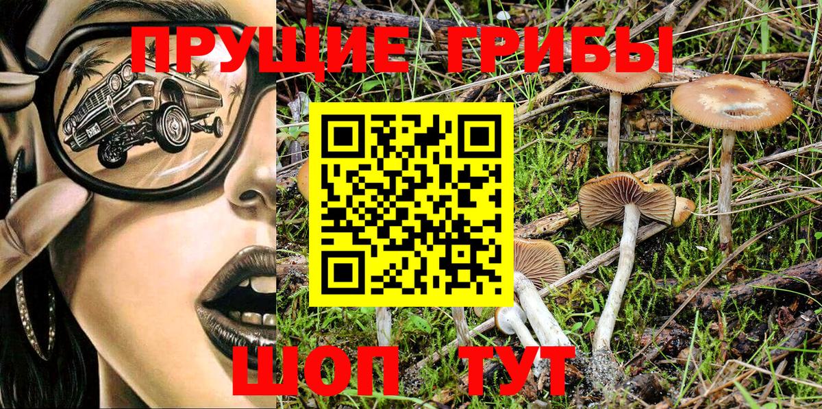 Псилоцибиновые грибы Magic Shrooms  Псилоцибиновые грибы Cubensis  Вход с VPN  магазин продажи наркотиков  Грозный 