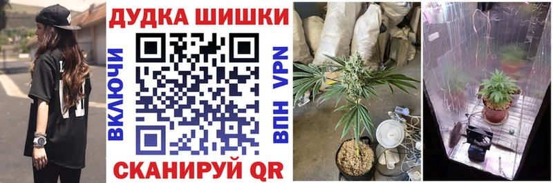 Конопля марихуана магазин МЕГА ССЫЛКА Грозный